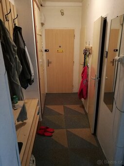 pronajem bytu 2+1, 50m2, balkon - 3