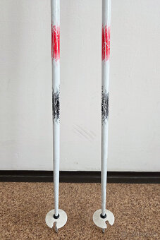 Lyžařské hůlky 110 cm - 3