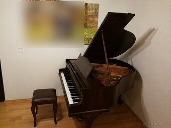 Klavírní křídlo August Förster velikost 5 Chippendale - 3