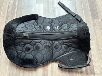 Beránek Eskadron platinum - 3