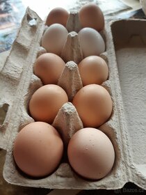 Domácí vajíčka - 3