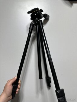 Canon EOS 250D + 18-55 IS + Vanguard VESTA Aspire 41 - 3