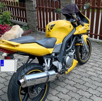 Suzuki SV650S - 3