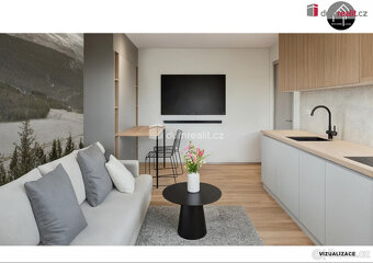 Apartmán 1+KK, 25 m2, Plešivec-Pstruží-Abertamy,Krušné hory - 3