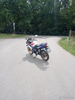 Prodám hondu cbr 125 2009 - 3