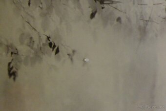 Skleněný obraz 70x70cm - 3