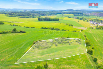 Prodej louky, 6006 m², Lešetice - 3