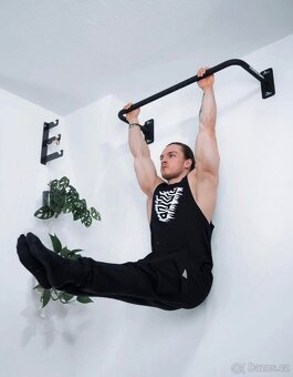 Hrazda a workout kruhy - 3
