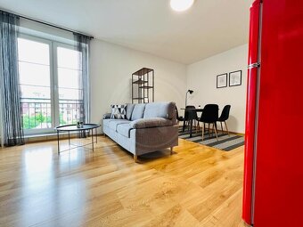 PRONÁJEM ZAŘÍZENÉHO BYTU 2+KK, RIEGROVA, ČESKÉ BUDĚJOVICE - 3