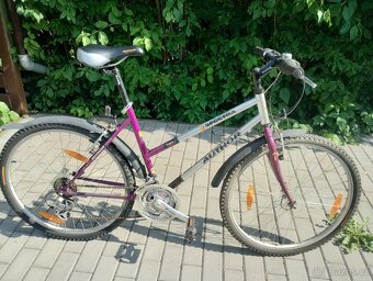 Dámské (dívčí) kolo Author spectra - 3