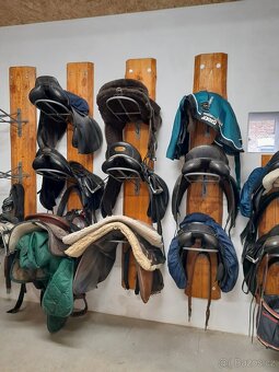 ustájení Plzeň - 3