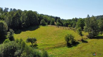 Prodej pozemku 4 589 m2 - Olešnice v Orlických horách - 3