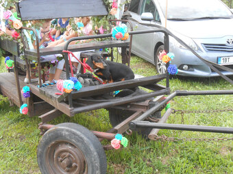 Vůz, vozík - 3