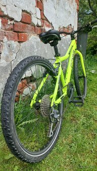 Core Nipper 24" - 3