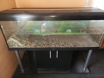Akvario - 3