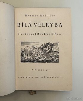 Bílá velryba - Herman Melville - 3