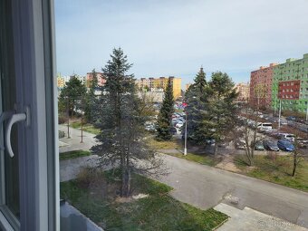 Pronájem bytu 1+KK v Plzni - Bory - 3