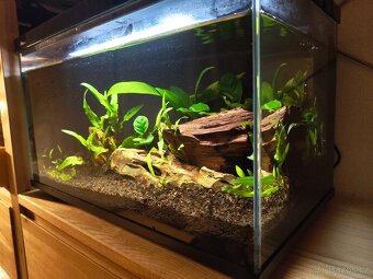 Xiaomi Mijia Smart Fish Tank MYG100 - nové akvarium 20l - 3