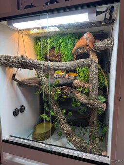 Terarium 80x50x60 - 3