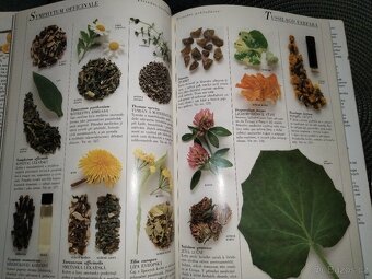 Kompletní ilustrovaný průvodce přírodních léčiv - 3