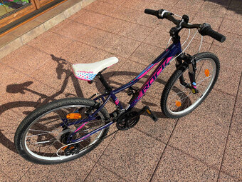 Rock Machine Catherine 24" - 3