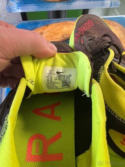 Nike Pegasus - 3
