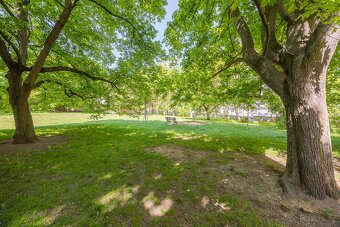 Prodej bytu 3+kk 66m² Edvarda Beneše, Jižní předměstí - 3