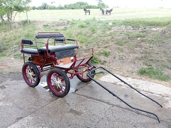 Wagoneta za pony - 3