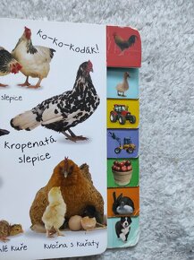 Dětská knížka Obrázková kniha Farma - 3