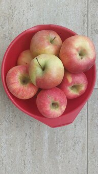 Ořechy vlašské - 3