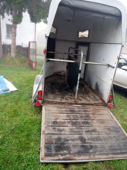 Přívěs na koně - 3