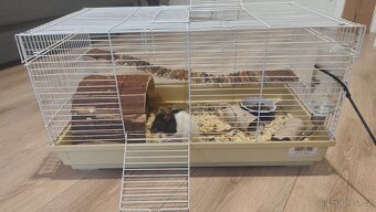 Potkan+vybavení pro hlodavce - 3