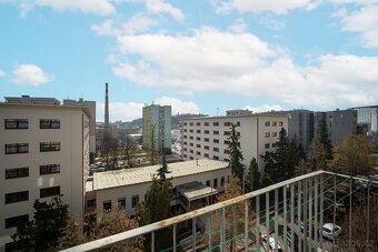 Slunný byt 3+1, Brno - ulice Výstavní - 3
