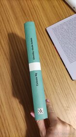Ohníčky všude kolem - Celeste Ng - 3