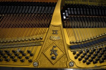 AUGUST FÖRSTER - AKČNÍ SLEVA 30 000Kč - 3