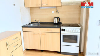 Pronájem bytu 1+1, 55 m², Písek, ul. Budějovická - 3