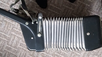 Akordeon Delicia III - 3