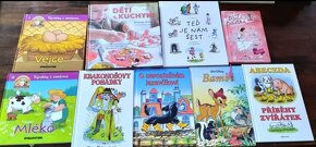 Úklid knihovny- mix knih - 3