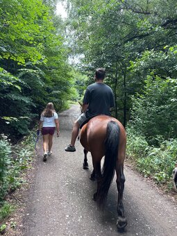 Valach na prodej - 3