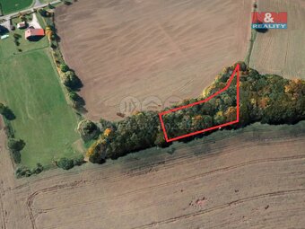 Prodej lesa, 2585 m², Cidlina, okr. Jičín - 3