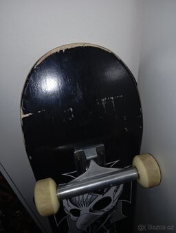 Birdhouse skateboard - 3
