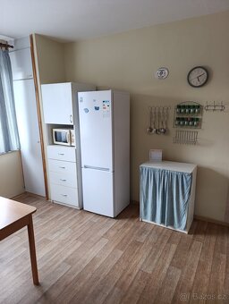 Pronájem bytu 1+1 - 3