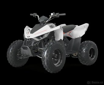 LINHAI ATV 110 2X4 EFI CE - 3