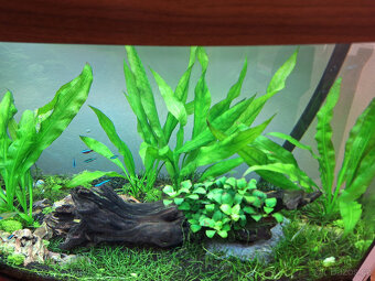 AKvárium Juwel 180 - 3