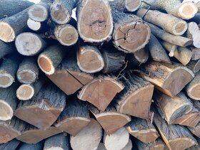 Akátové dřevo - 3