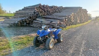 Shineray atv quad 110 - 3