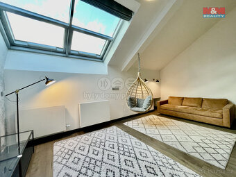 Pronájem bytu 3+kk, 115 m², Praha, ul. Revoluční - 3