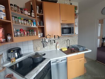 Pronájem bytu 2+1, Sídliště Rotava - 3