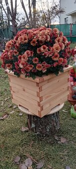 Dřevěný truhlík - 3