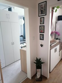 Výměna bytu 1+1 Kohoutovice - 3